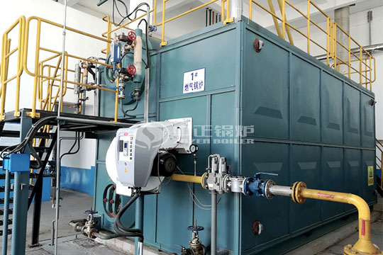 四川省簡陽市25噸和20噸燃氣蒸汽鍋爐項目