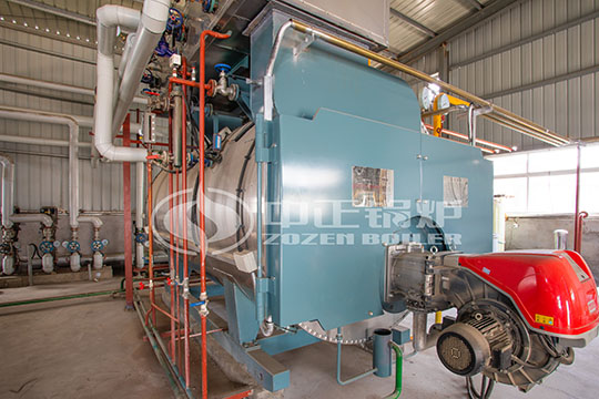 江蘇省常熟市10噸天燃?xì)庹羝仩t