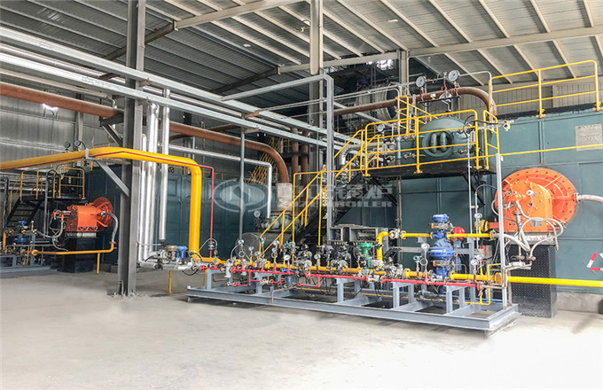 山東省濱州市15噸冷凝式燃?xì)庹羝仩t項(xiàng)目